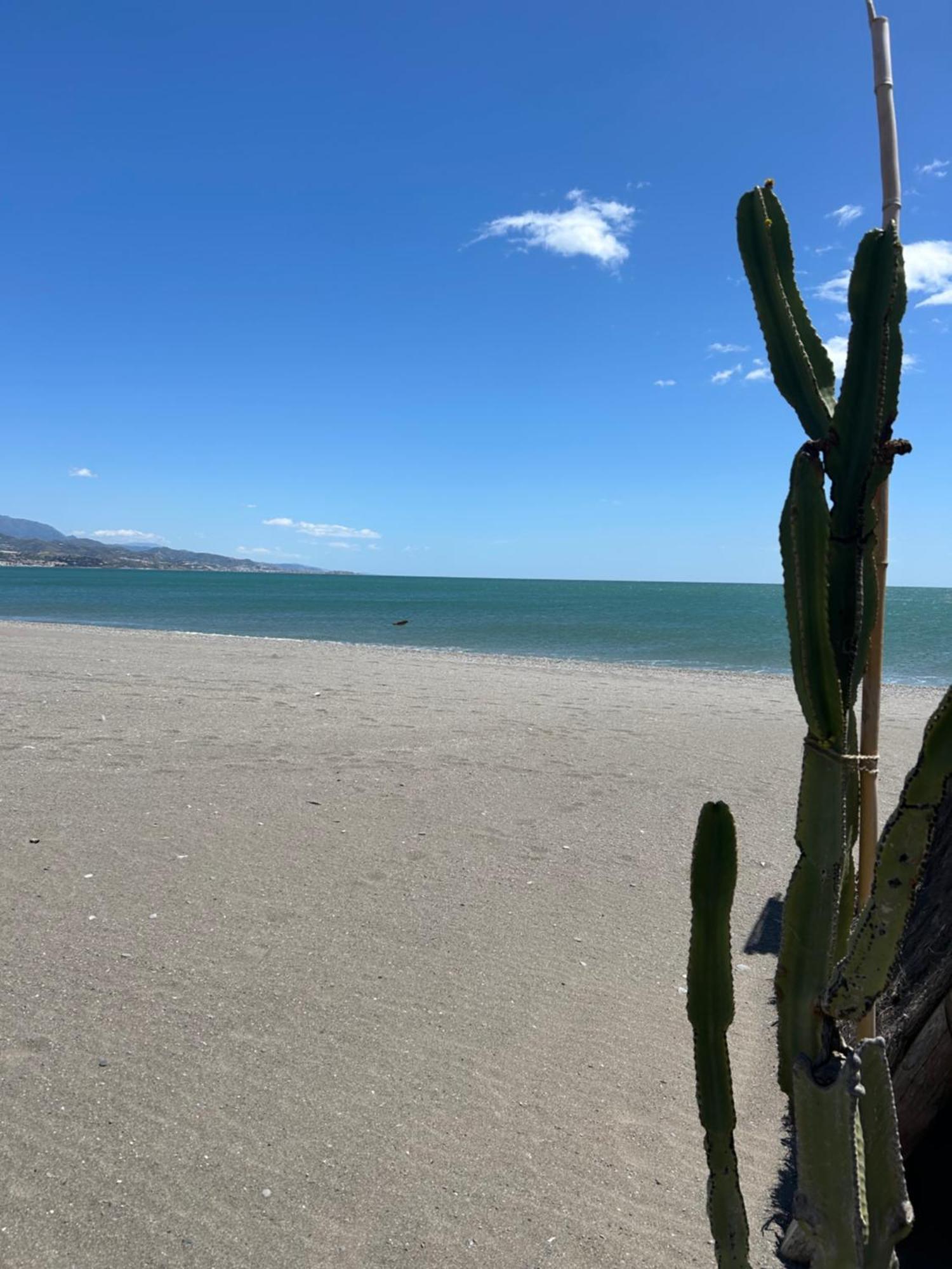 Piso A 50 M Del Mar - Mejores Vistas De Torre Del Mar Buitenkant foto